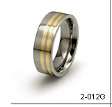 titanium ring with 2 inlays