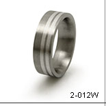 titanium band with white gold inlays