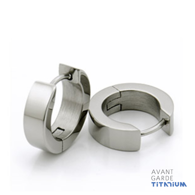 Hinged Hoop Titanium Earrings, Set of Two