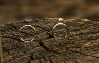 titanium rings on log