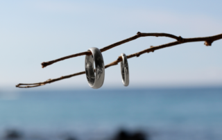 2 different ring widths on a branch