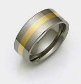 titanium and gold ring